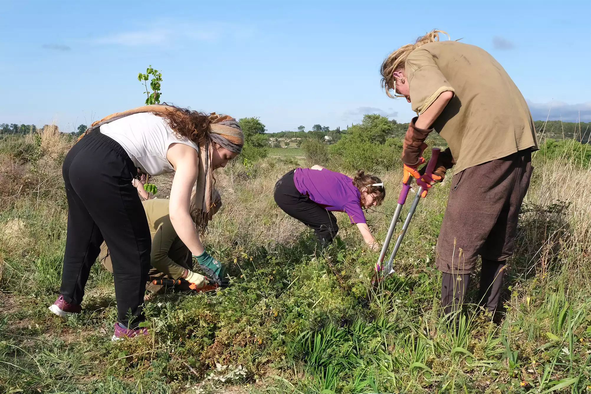 cat-farm-community-education-south-france-17