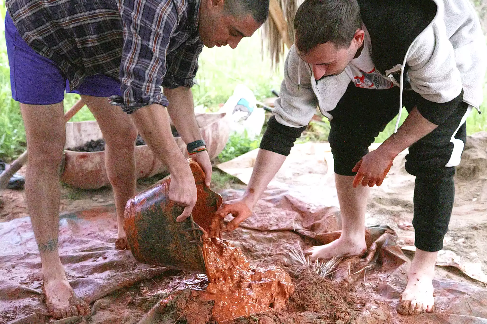 cat-farm-community-education-south-france-2