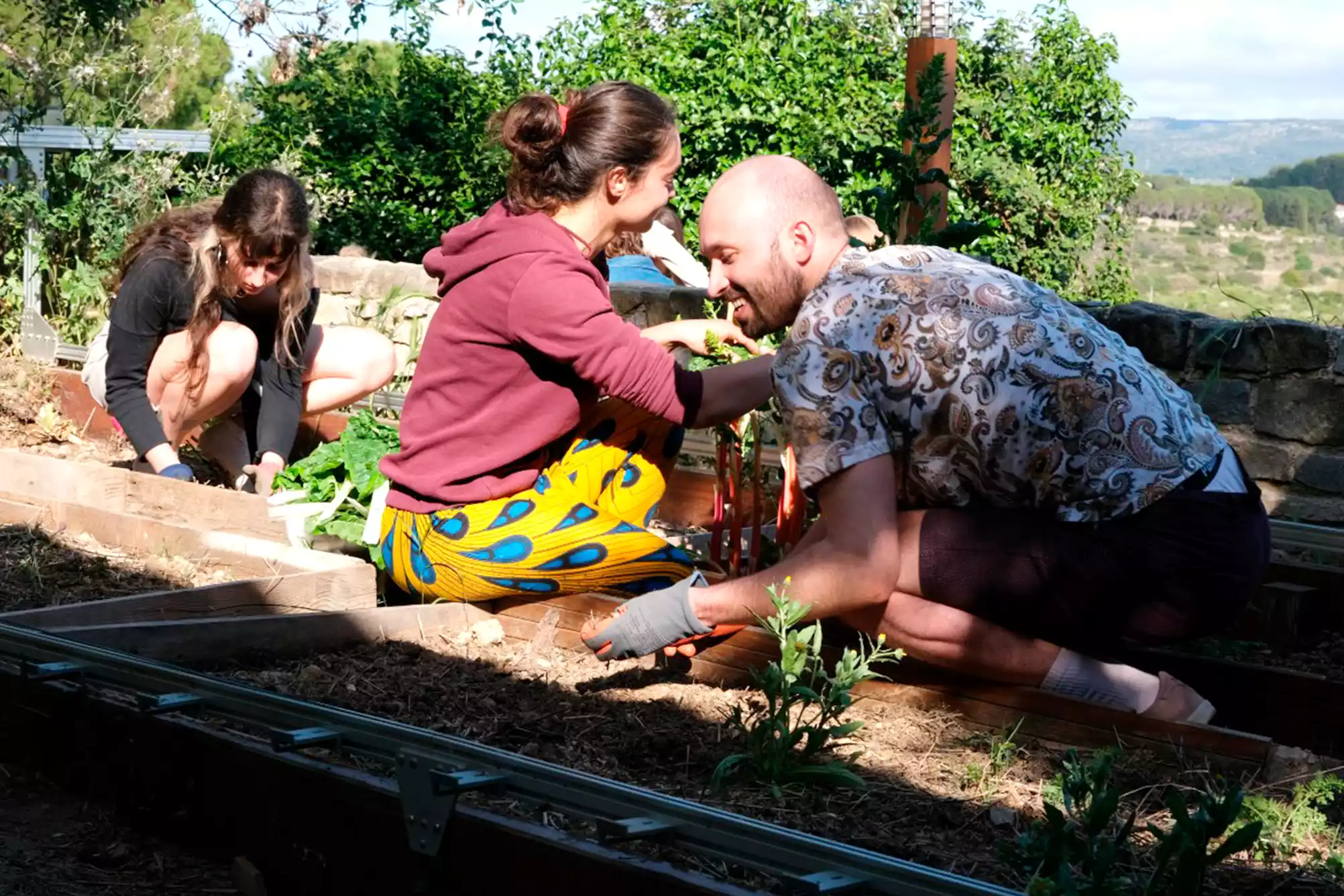 cat-farm-community-education-south-france-15