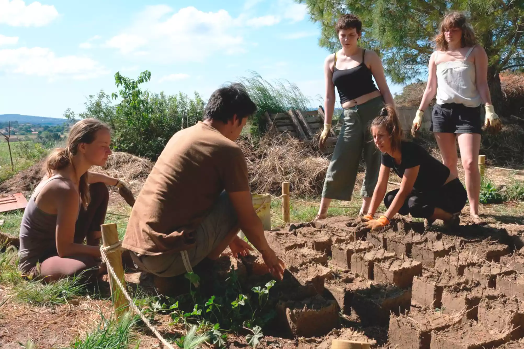 cat-farm-community-education-south-france-Back-to-roots-Youth-Exchange-2