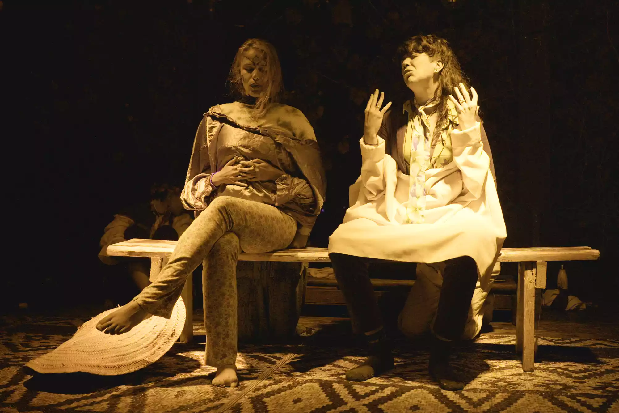 cat-farm-community-education-south-france-26