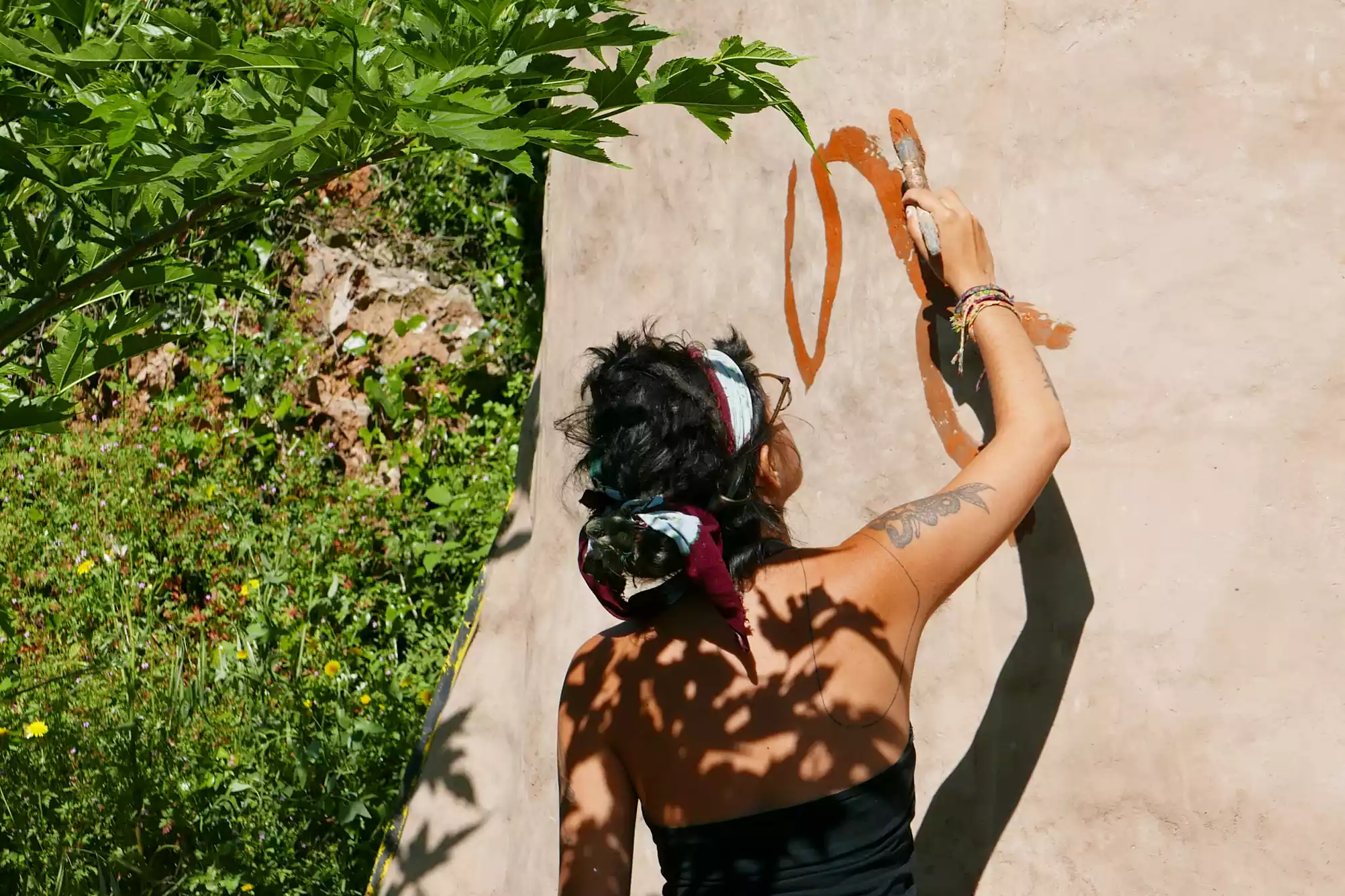 cat-farm-community-education-south-france-27