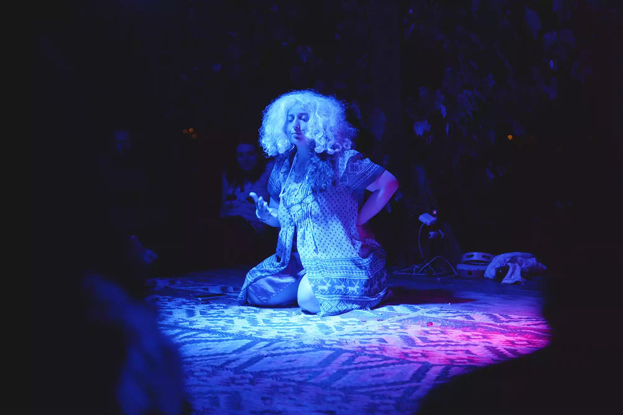 cat-farm-community-education-south-france-28