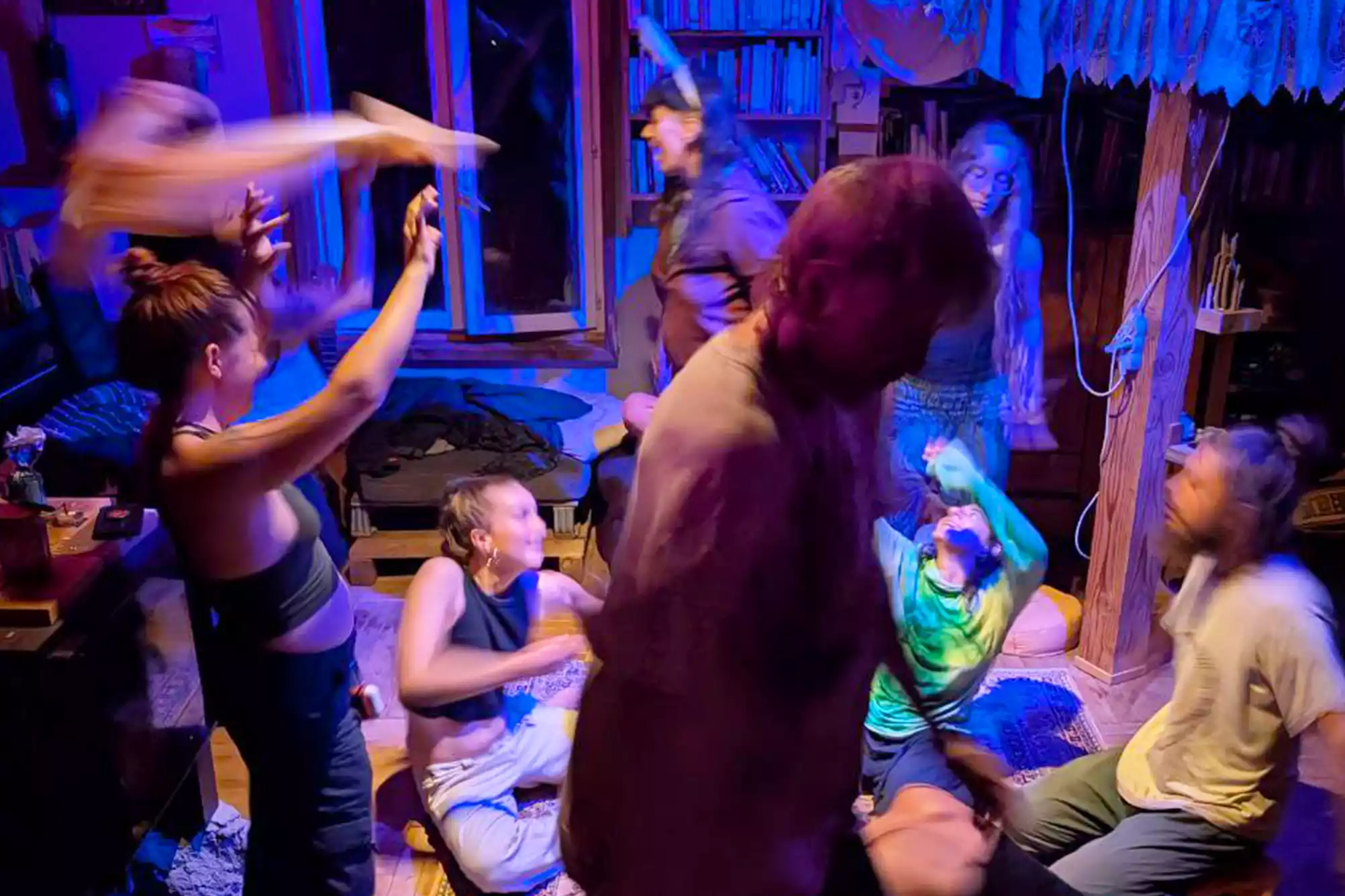 cat-farm-community-education-south-france-36