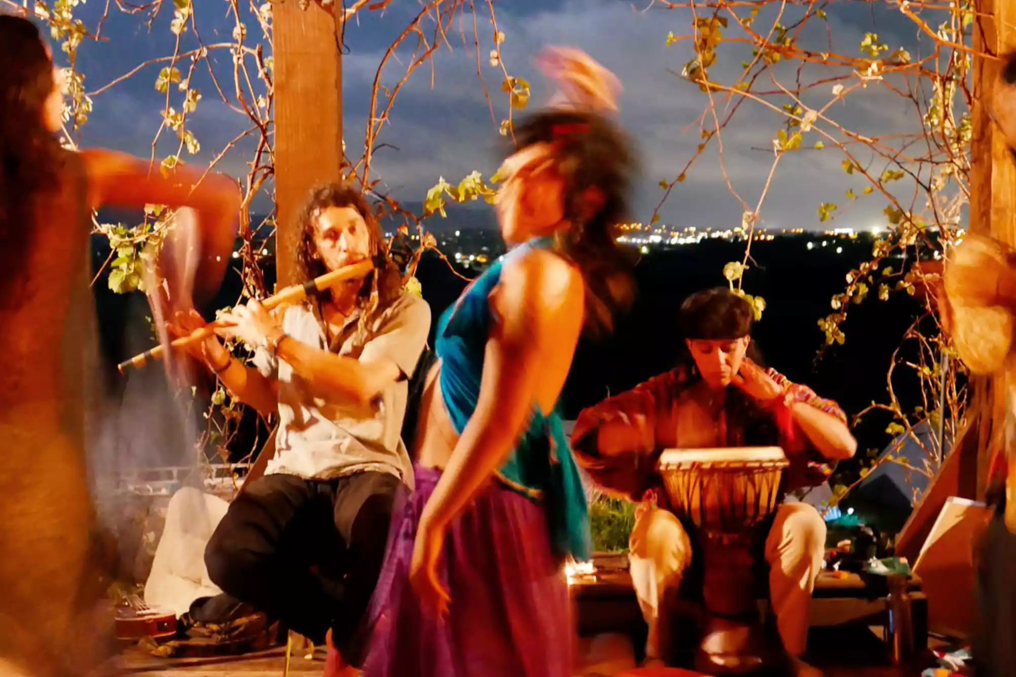 cat-farm-community-education-south-france-37