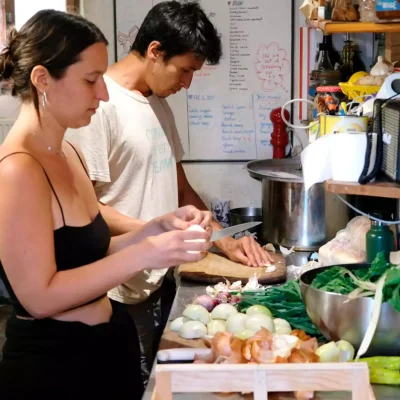 cat-farm-community-education-south-france-11