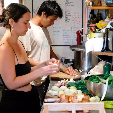 cat-farm-community-education-south-france-11