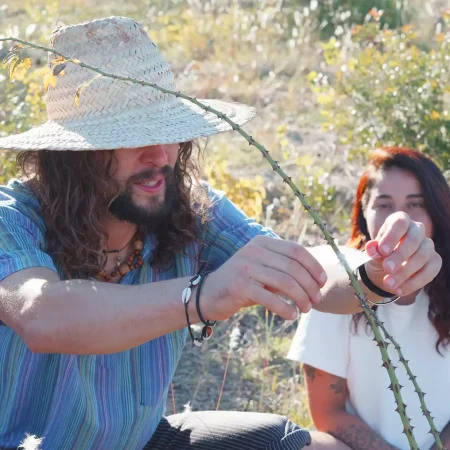 cat-farm-community-education-south-france-51