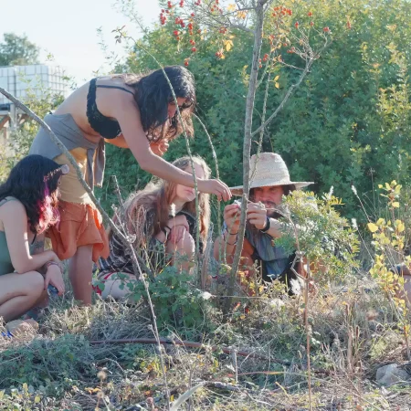 cat-farm-community-education-south-france-54
