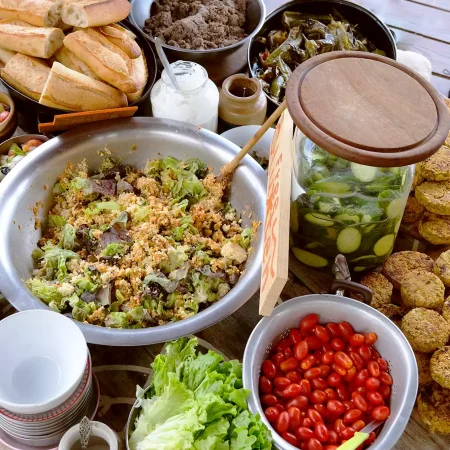 cat-farm-community-education-south-france-6