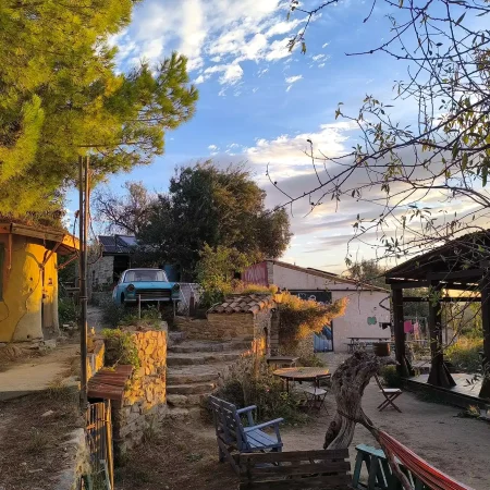 cat-farm-community-education-south-france-62