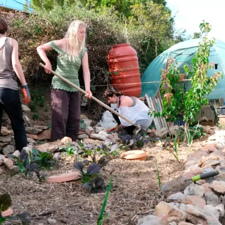 cat-farm-community-education-south-france-7