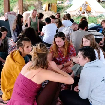 cat-farm-community-education-south-france-Back-to-roots-Youth-Exchange-8
